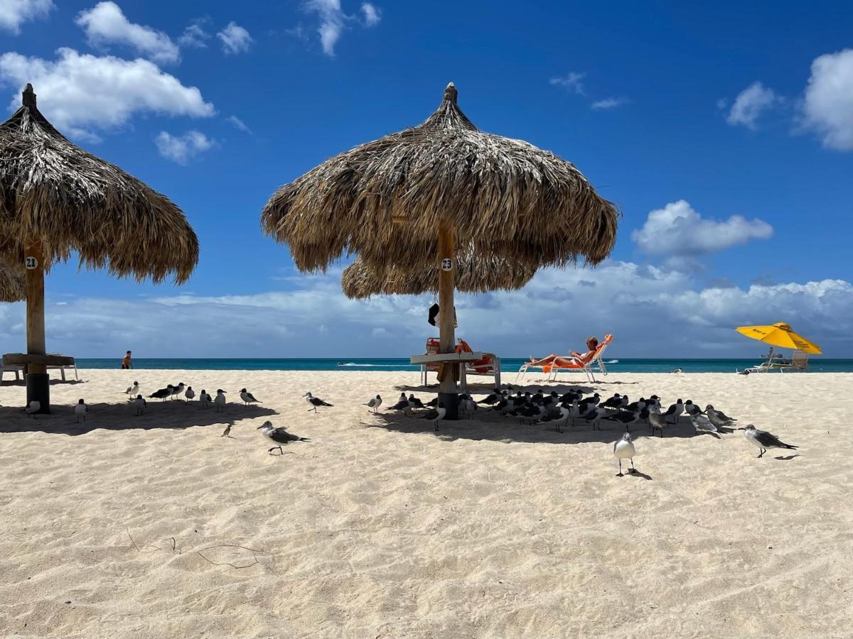 Luxury Ocean View Condo @ Aruba'S شاطئ بالم المظهر الخارجي الصورة